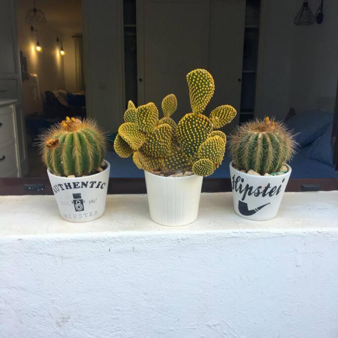 Vivienda Vacacional Cactus Costa Teguise Esterno foto
